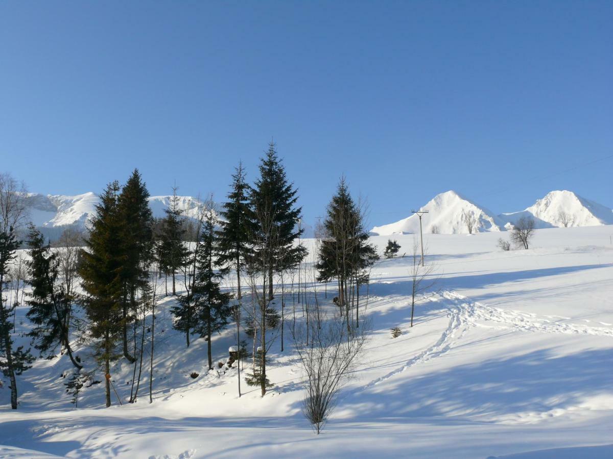 Gasthaus Goralska Obora Ždiar Exterior foto